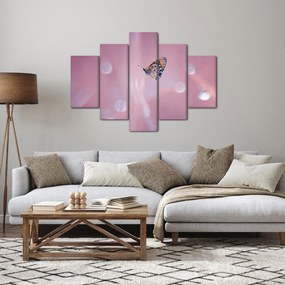 Obraz - Motýlik (150x105 cm)