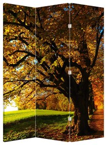 Paraván - Jesenný strom (126x170 cm)