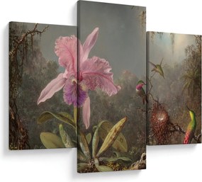 Obraz - Martin Johnson Heade, Cattleya Orchid and Three Hummingbirds, reprodukcia (90x60 cm)