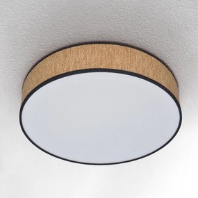 Brilagi - LED Stmievateľné stropné svietidlo ADELA LED/48W/230V 3000-6500K + DO