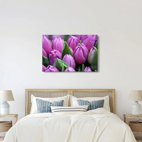 Obraz - kvety tulipánov (90x60 cm)