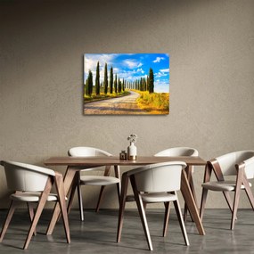 Obraz - Krajina (70x50 cm)