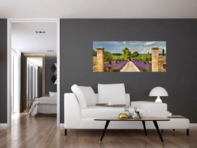 Obraz - Levanduľové cesty (120x50 cm)