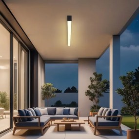 Brilagi - LED Kúpeľňové stropné svietidlo SLEEKLINE LED/40W/230V čierne IP44