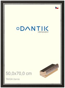 DANTIK rám na obraz 50x70 | TAIGA černá (Plexi Čiré)