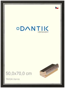 DANTIK rám na obraz 50x70 | TAIGA černá (Plexi Čiré)