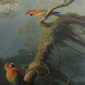 Obraz - Tropický les (70x50 cm)