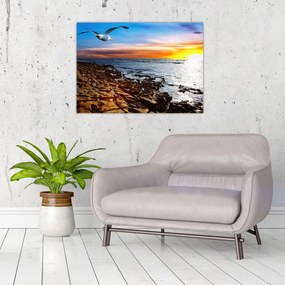 Sklenený obraz - Čajka letiaca nad pobrežím (70x50 cm)