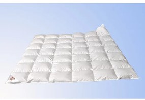 Termop paplón Luxus 220x240 cm celoročný páperový