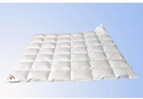Termop paplón Luxus 220x240 cm celoročný páperový