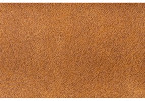 Koňakovohnedé zamatové kreslo John – White Label