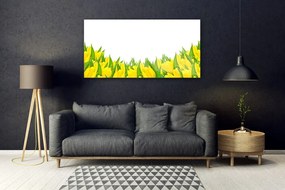 Obraz plexi Kvety príroda tulipány 120x60 cm
