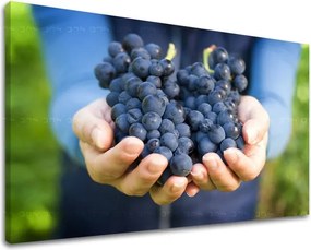 Obraz na stenu KUCHYŇA KU014E11 - 40x60 cm