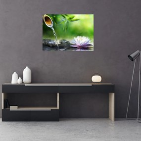 Sklenený obraz - Lotus (70x50 cm)
