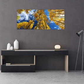 Obraz - Aspen (120x50 cm)