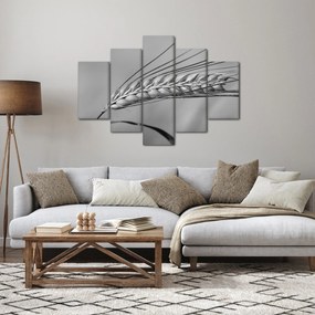 Obraz - Pšenica, čiernobiela (150x105 cm)