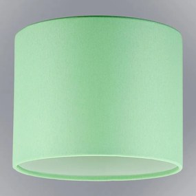 Tienidlo valček 9677 Mäta D20