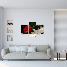 Obraz - Klavír a ruža (90x60 cm)