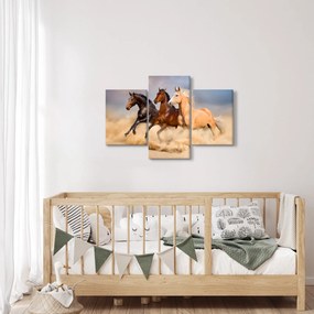 Obraz - Divé kone (90x60 cm)