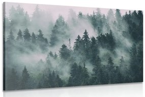 Obraz hory v hmle - 120x80