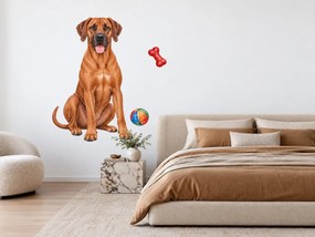 Rhodézsky ridgeback s loptičkou a kosťou realistické textilné nálepky na stenu pre milovníkov ridgebackov arch 30 x 46 cm