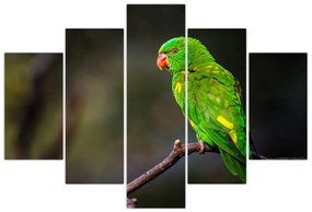 Obraz papagája na vetve (150x105 cm)