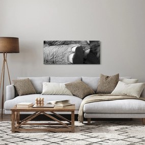 Obraz - Slonia noha (120x50 cm)