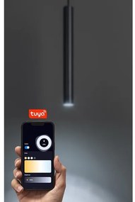 Rabalux 70132 - LED Stm. luster na lanku do 1-fáz. lišt. sys. LiTrack LED/5W/24V