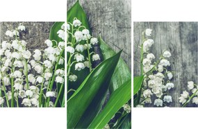Obraz konvaliniek (90x60 cm)