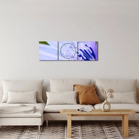 Obraz - kvet (s hodinami) (90x30 cm)