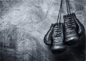 Obraz - Boxerské rukavice (70x50 cm)