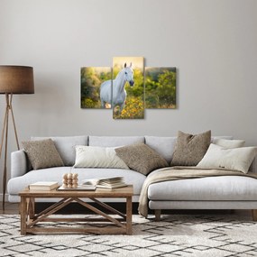 Obraz bieleho koňa na lúke (90x60 cm)