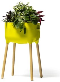 Plastová samozavlažovacia pestovateľská nádoba Urbalive – Plastia