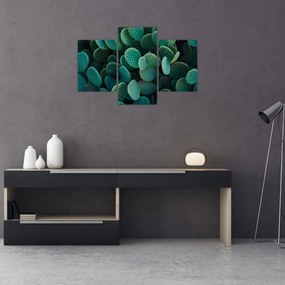 Obraz - Opuncie (90x60 cm)