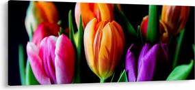 Obraz tulipánov na čiernom pozadí (120x50 cm)