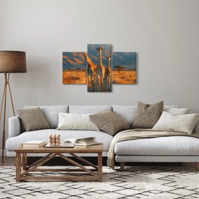Obraz - Žirafy na pastvine (90x60 cm)