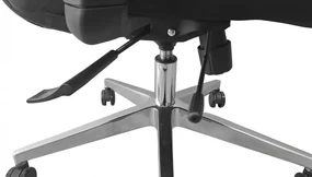 Kancelárska ergonomická stolička Neoseat FLEX PRO — čierna, nosnosť 150 kg