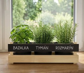 AMADEA Drevený obal s kvetináči a tabuľkou na písanie kriedou, 47x17x15cm Český výrobok