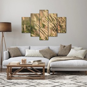 Obraz - Obilie (150x105 cm)