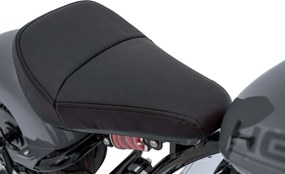 Ramiz Motocykel Chopper Warrior Sivá