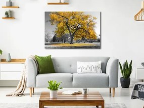 Artgeist Obraz - Autumn in the Park (1 Part) Wide Gold Veľkosť: 90x60, Verzia: Premium Print