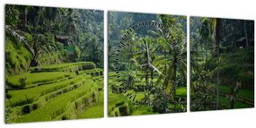Obraz ryžových terás Tegalalang, Bali (s hodinami) (90x30 cm)