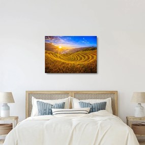 Sklenený obraz - Ryžové terasy vo Vietname (70x50 cm)