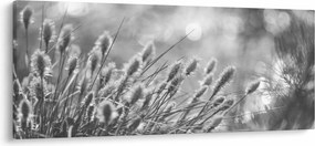 Obraz - Béžová soft grass N⁰1 (120x50 cm)