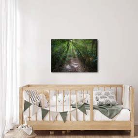 Obraz - Slnečné lúče v džungli (70x50 cm)