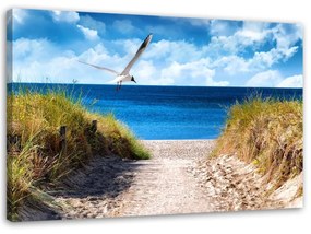 Obraz na plátně Pláž Mořské duny Racci - 90x60 cm