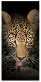 Moderný deliaci Paravan leopard