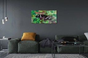 Sklenený obraz List farebný motýľ 125x50 cm