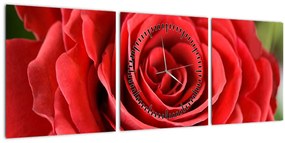 Obraz kvetu ruže (s hodinami) (90x30 cm)