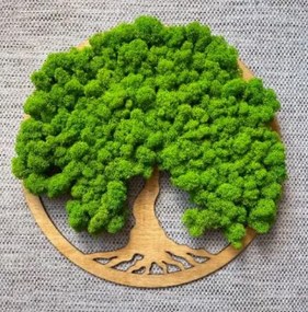 Strom na stenu z machu Ninfa 40 cm